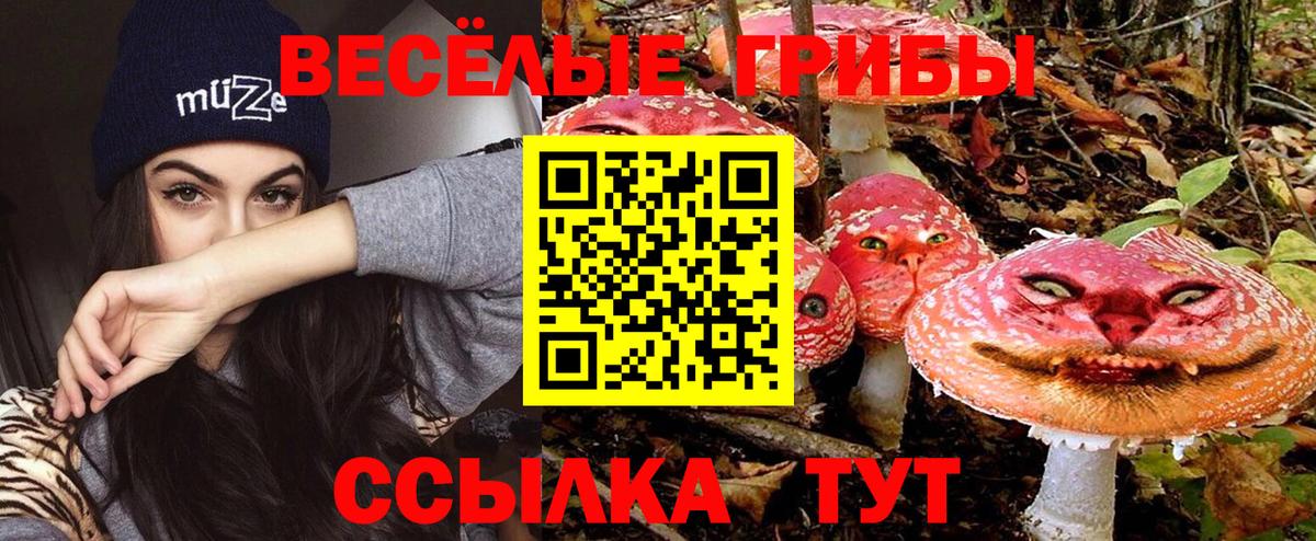 Галлюциногенные грибы мухоморы  Вход с VPN  Кстово 