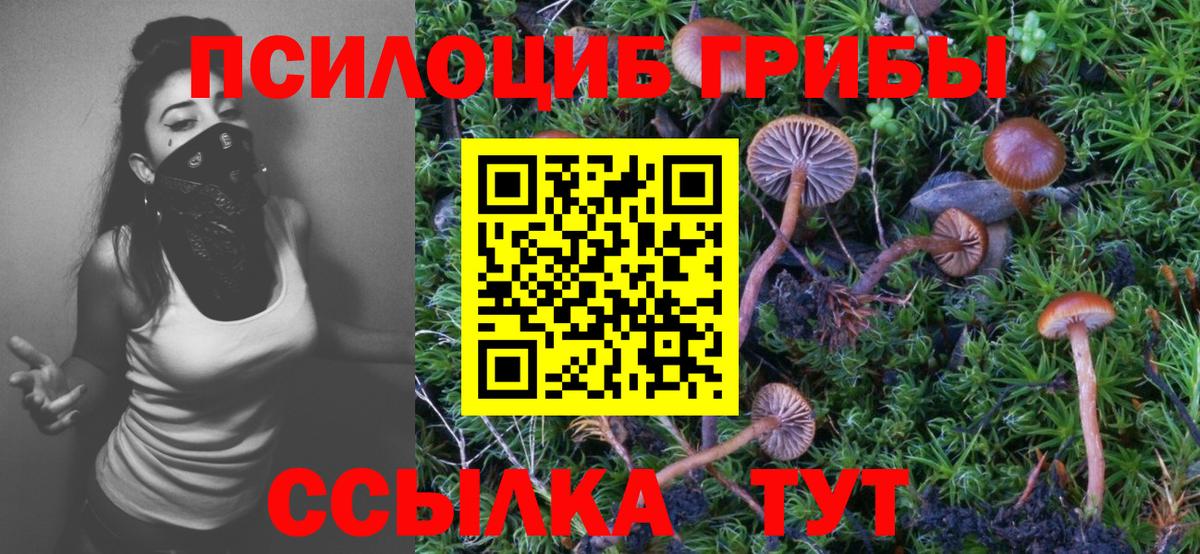 APVP Кстово