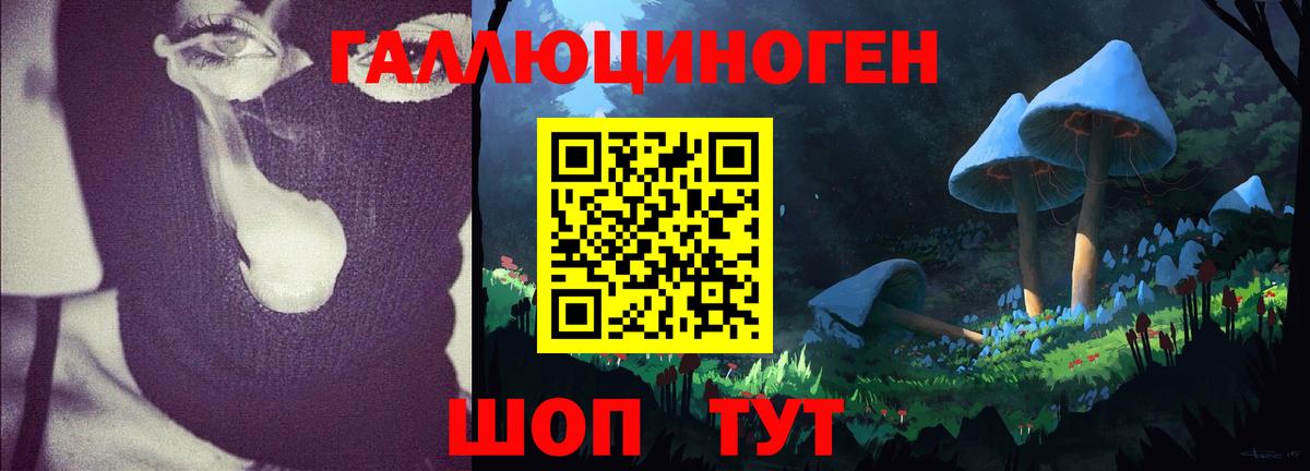 Псилоцибиновые грибы Psilocybe Кстово